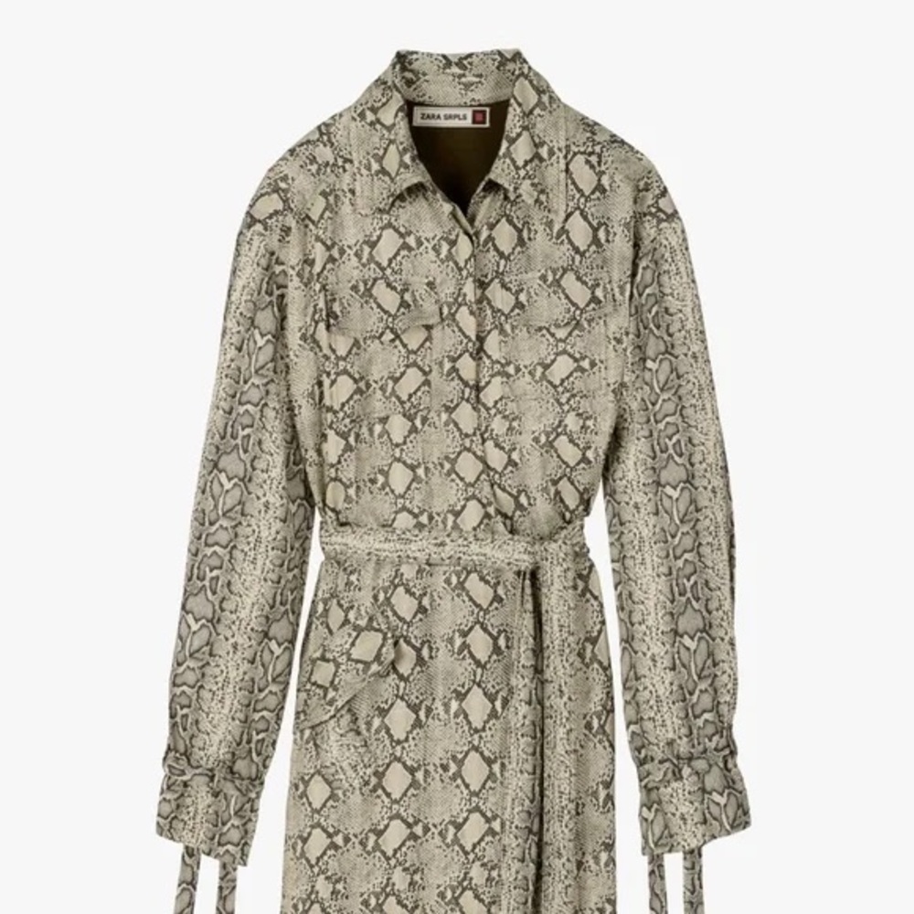 Zara Snakeskin Print Dress - Gray